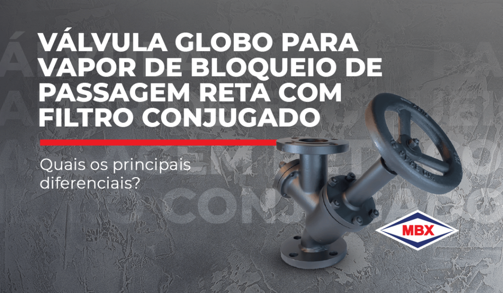 Diferenciales con válvula de globo para paso recto bloqueando vapor con filtro combinado